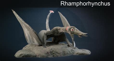 Rhamphorhynchus By Romannoodles3d On Deviantart