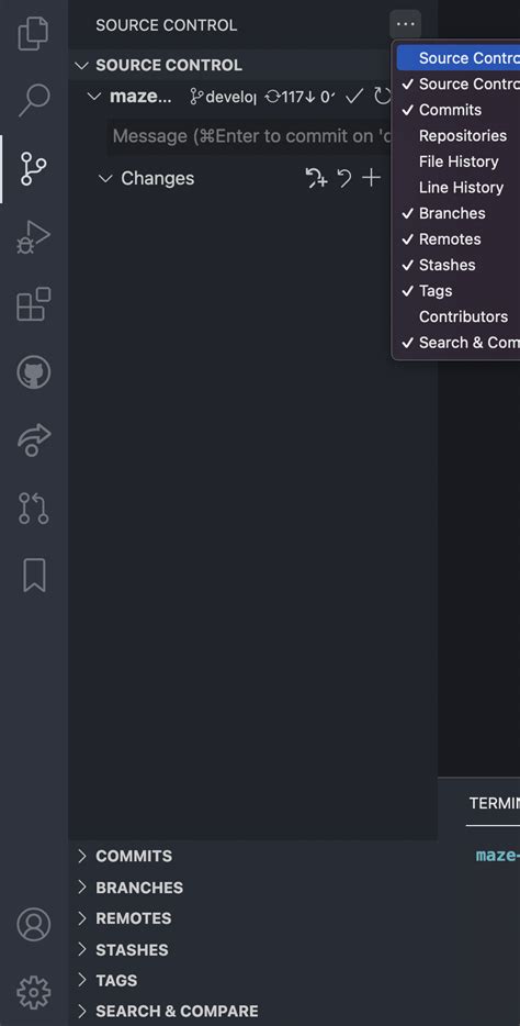 Visual Studio Code Git Commits View Not Showing In VSCode Source