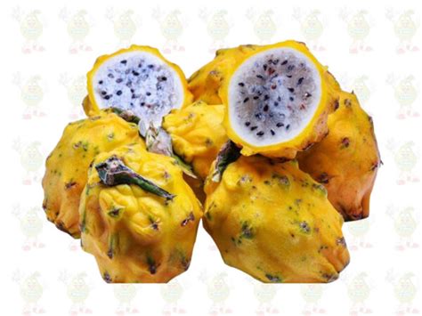 Pitahaya X 500g Solofruver Frutas Y Verduras