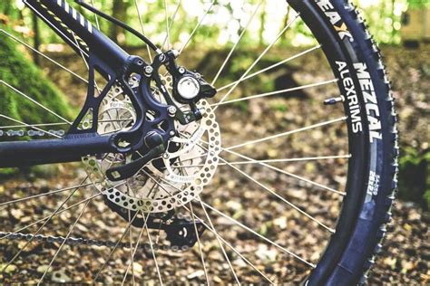 Tubeless Bike Tires — Everything You Need to Know [Ultimate Guide ...