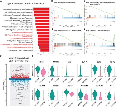 Integrated Multi Omics Analyses Reveal The Altered Transcriptomic