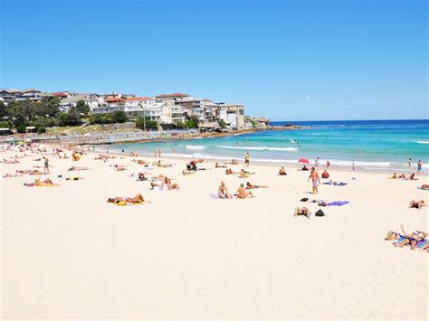 Things To Do At Bondi Beach Travel Insider