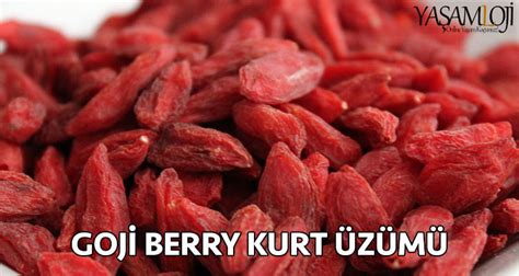 Goji Berry Çayı ile Zayıflama Goji Berry Çayı Zayıflatır mı Yasamloji