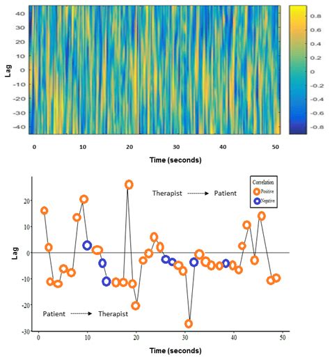 Top Output Of Windowed Cross Correlation Shown As A Correlogram Lag