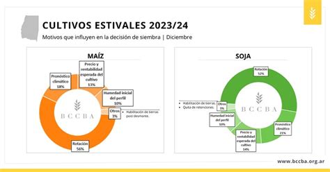 Santiago Del Estero Avanza Lentamente La Siembra De Los Cultivos