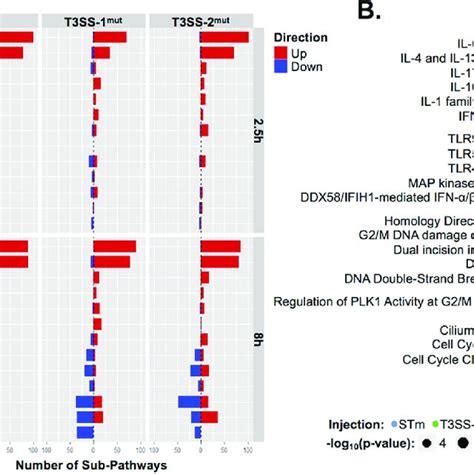 Reactome Pathway Enrichment Reveals Upregulation Of Immune System