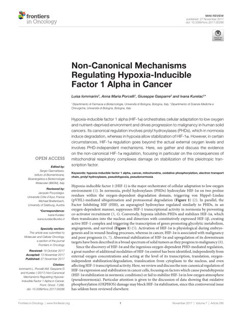 PDF Non Canonical Mechanisms Regulating Hypoxia Inducible Factor 1