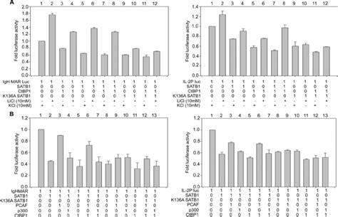 Repression Mediated By Satb And Ctbp Is Abolished Upon Acetylation Of