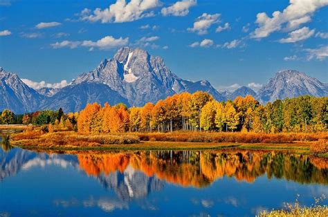 Fall Foliage And Colors In Jackson Hole Wy Town Square Inns Jackson