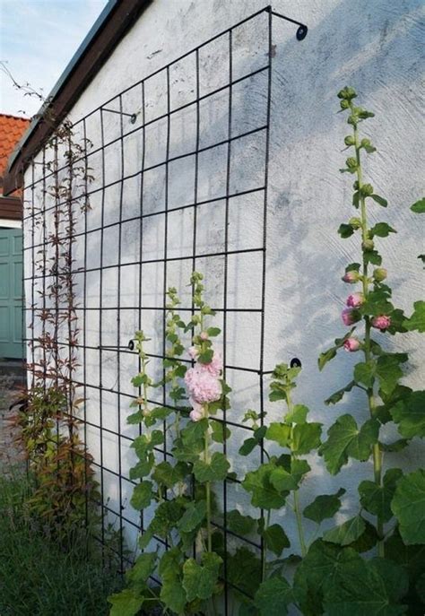 Diy Wire Garden Trellis Wall With Diy Trellis Wall Diy Garden Trellis Garden Trellis Garden