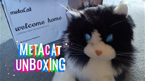 MetaCat By Elephant Robotics Unboxing And Review Quick Play Metacat