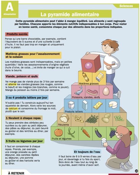 Science Infographic Science Infographic La Pyramide Alimentaire