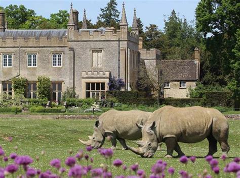 Cotswolds Wildlife Park | Country Creatures