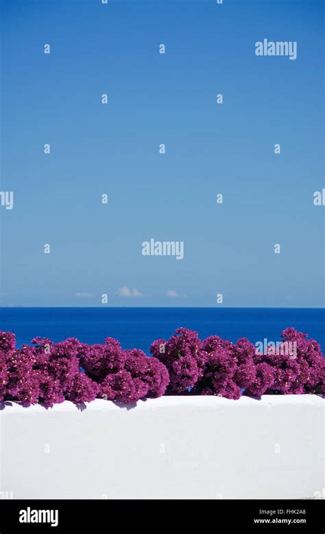 Bougainville island hi-res stock photography and images - Alamy