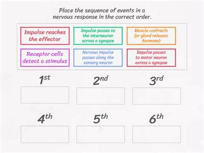 Reflex arc - Teaching resources