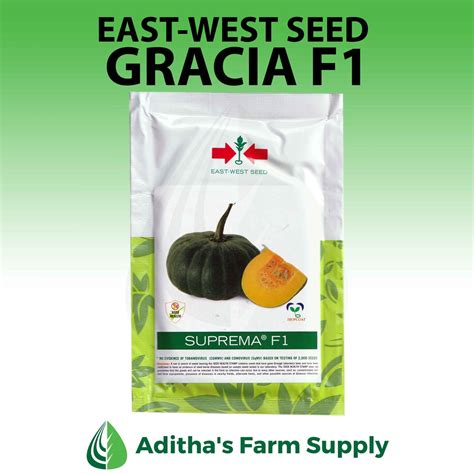 East West Seed Squash Pumpkin Kalabasa Hybrid Varieties Sophia F1