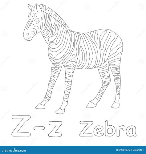 Z Per La Pagina Di Coloritura Della Zebra Illustrazione Di Stock