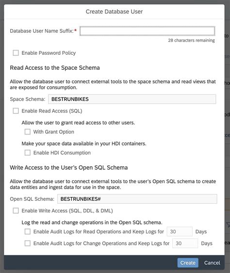 Create A Database User In Sap Datasphere Sap Tutorials