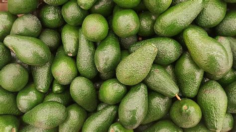 Los Beneficios Del Aguacate Para Tu Cuerpo Si Lo Consumes A Diario