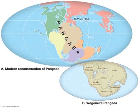 Plate Tectonics Diagram Quizlet