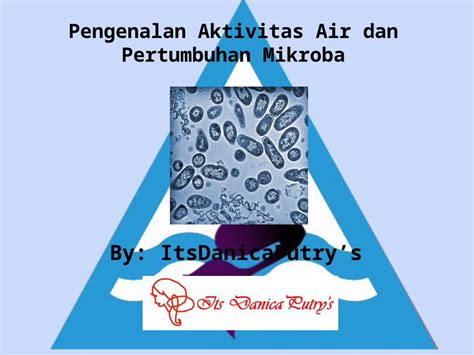 PPTX Pengenalan Aktivitas Air Dan Pertumbuhan Mikroba By