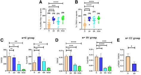 Proteomic And Genetic Dissection Of Testis Specific Histone 2b In