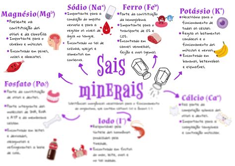 SOLUTION Mapa mental sobre sais minerais bioquímica Studypool