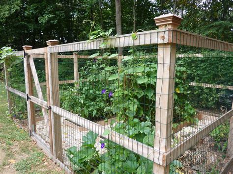 Kariene S Garden Garden Fencing Vegetable Garden Design Vegetable