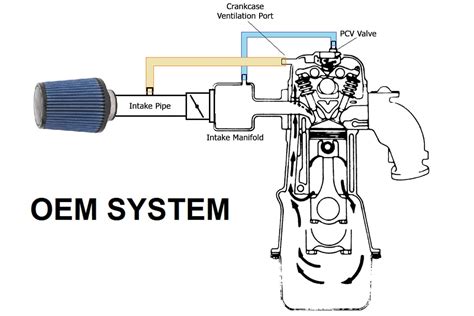 Catch Can Diagram For Roots Supercharged Ls Engine Cans Auto