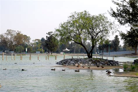 Bosque de San Juan de Aragón Gustavo A Madero Mexico City