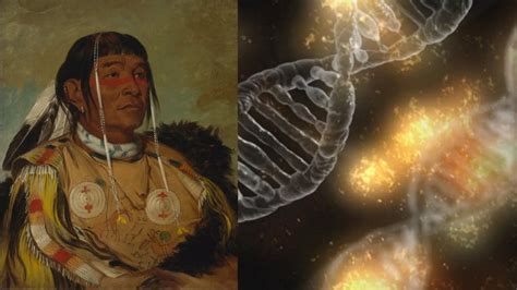 DNA Study Reveals 250 Siberians Became The First Native American ...