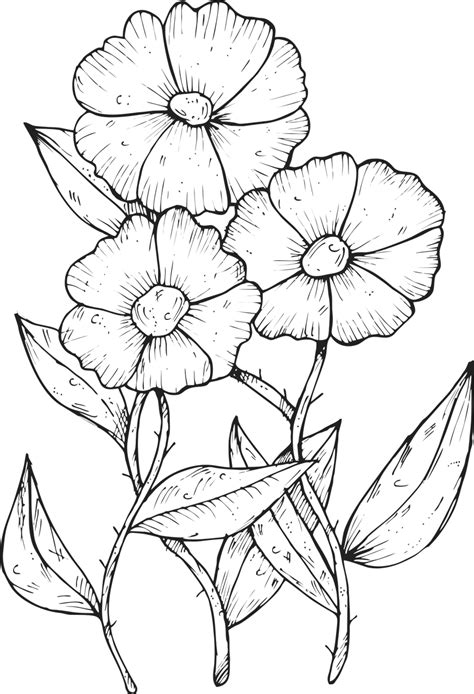 Download Flower, Drawing, Plant. Royalty-Free Vector Graphic - Pixabay