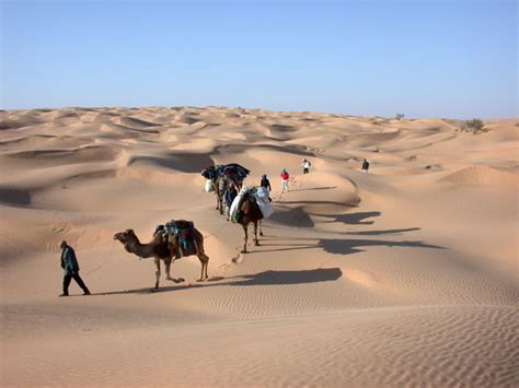 D Couvrez Le Sud Tunisien Excursions Et Circuits Dans Le D Sert Du