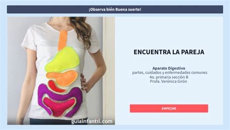 Encuentra La Pareja Aparato Digestivo Partes Cuidados Y Enfermedades