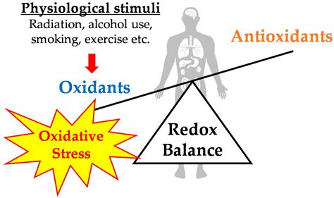 Antioxidants Free Full Text Exercise Induced Oxidative Stress And The Effects Of Antioxidant