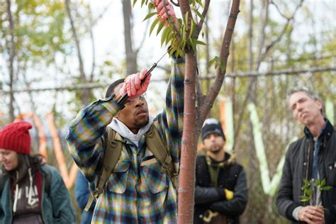 Citizen Pruner Course | Trees New York