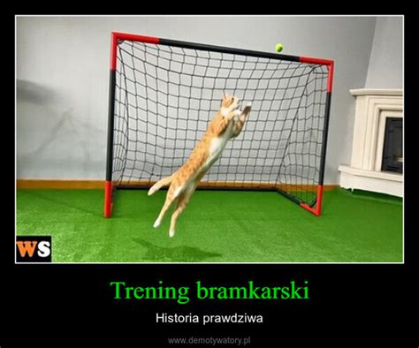 Trening Bramkarski Demotywatory Pl