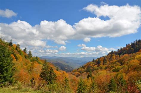 See Fall Colors in Bryson City and the Great Smoky Mountains | VisitNC ...