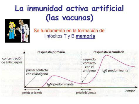 Ppt Tema 12 Inmunología Powerpoint Presentation Free Download Id