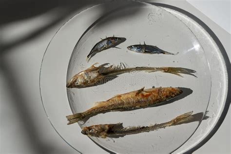 Whole Fried Fish Smelt And Fish Bones On A Plate Stock Photo Image