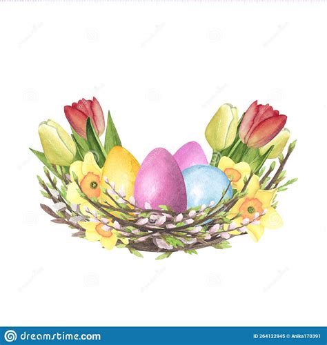 Willow Nest Watercolor With Tulips Daffodil Colored Eggs Isolated On