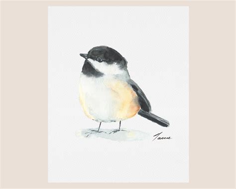 Set of 4 Bird Prints Watercolor Birds Downloadable Prints | Etsy