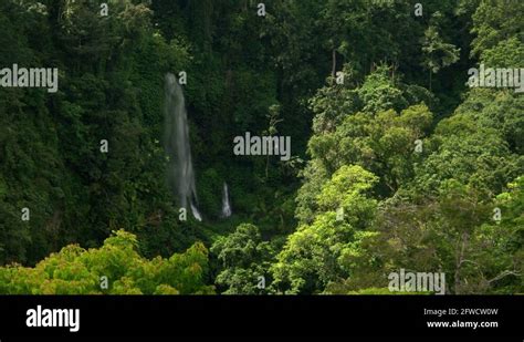 Jungle scenery Stock Videos & Footage - HD and 4K Video Clips - Alamy