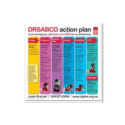 Poster DRSABCD Action Plan A3 | ubicaciondepersonas.cdmx.gob.mx