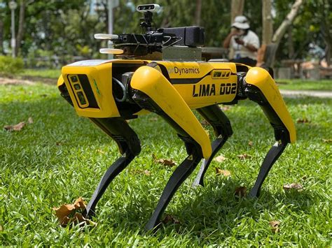 Cane Robot Fa Guardia Contro Violazioni Di Distanziamento Sociale La