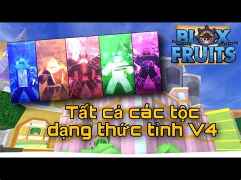 Blox Fruits Tất cả dạng Thức Tỉnh V4 Các Tộc HM Tin Game YouTube