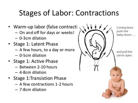 Pregnancy Labor And Childbirth