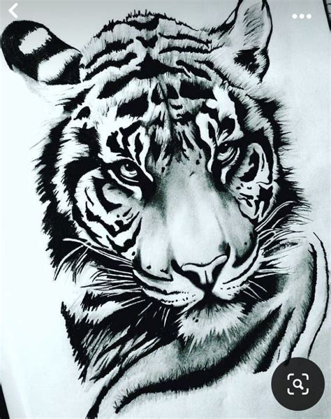 Pin De Shaun Mcelroy Em Big Cats Desenho Tatuagem Tatuagem De Tigre