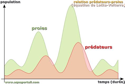 Relation Pr Dateur Proie D Finition Et Explications