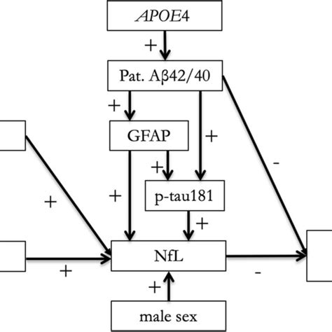 Aggregated Hypothetical Model Of The Associations Between Different Download Scientific